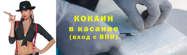 твердый Богородицк